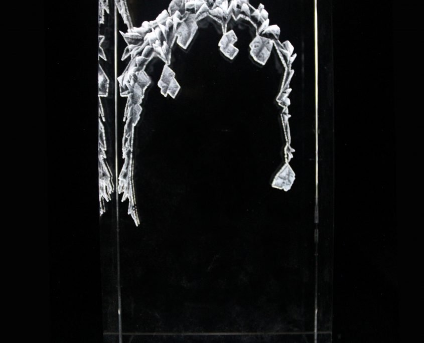 000002-front view-Victoria Yin-2017-multimedia on crystal block-600x1200mm